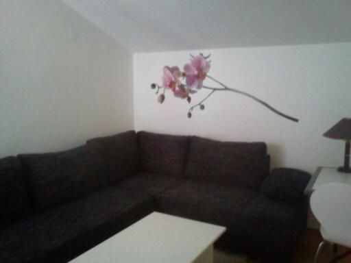 Apartment Zelenčić Kali Buitenkant foto